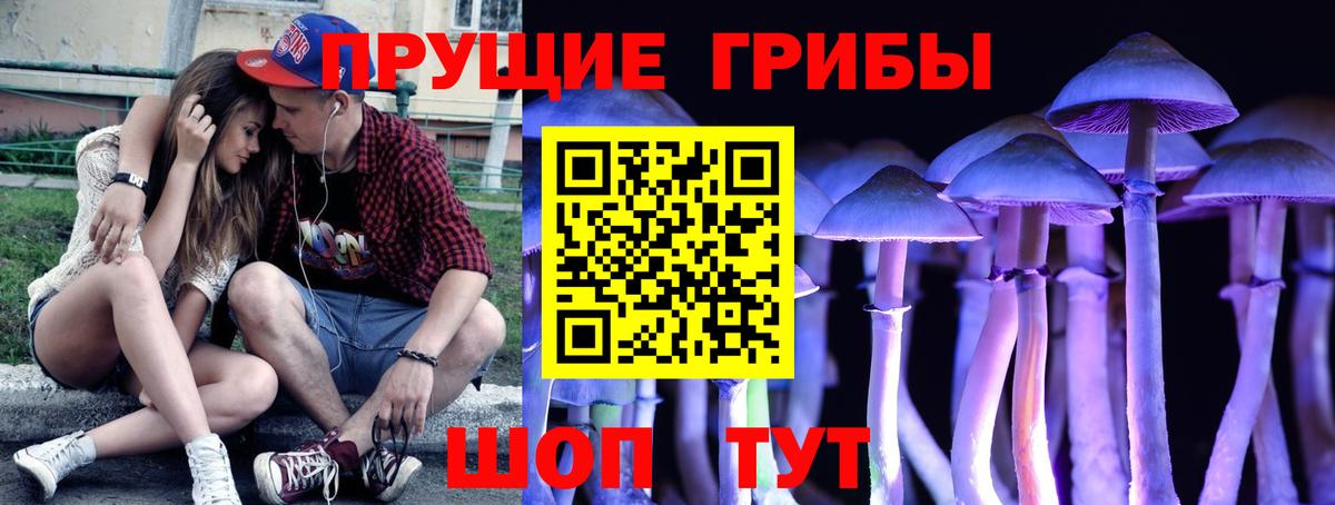 Галлюциногенные грибы Psilocybe Стрежевой